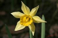 Cjp_2007_03_05_132618.jpg