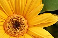 Cjp_2007_03_10_162404.jpg