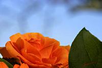 Cjp_2007_03_10_162656.jpg