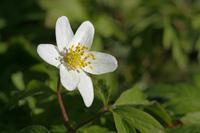 Cjp_2007_03_11_152727.jpg