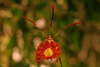 Cjp_2007_03_29_152231_2.jpg