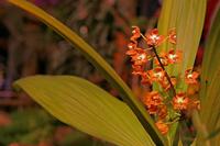 Cjp_2007_03_29_153440.jpg