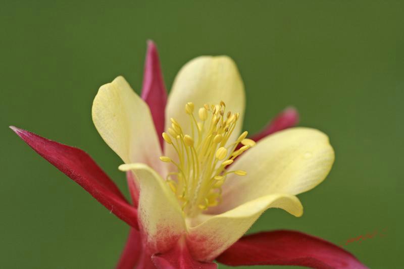 Cjp_2007_06_26_164551 (2).jpg