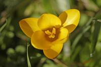 Cjp_2008_02_07_125328.jpg