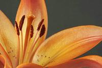 Cjp_2008_03_06_163637.jpg