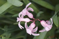 Cjp_2008_04_02_102135.jpg