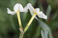 Cjp_2008_04_02_103004.jpg