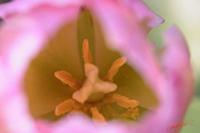 Cjp_2008_04_02_103337.jpg