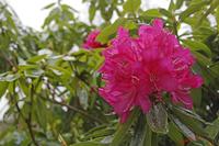 Cjp_2008_04_02_162443.jpg