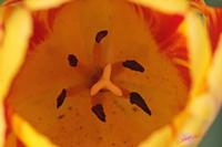 Cjp_2008_04_06_134841.jpg