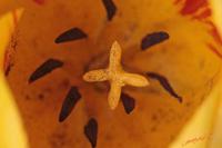 Cjp_2008_04_06_134850.jpg