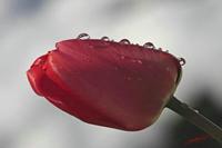 Cjp_2008_04_07_084554.jpg