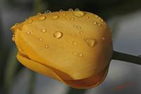 Cjp_2008_04_07_084736.jpg