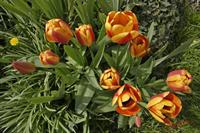 Cjp_2008_04_13_141136.jpg