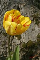Cjp_2008_04_13_141302.jpg