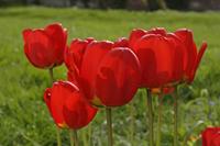 Cjp_2008_04_13_141425.jpg