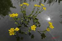 Cjp_2008_04_13_141905.jpg