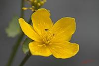 Cjp_2008_04_19_163100.jpg