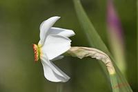 Cjp_2008_04_25_092629.jpg