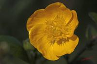 Cjp_2008_04_26_161020.jpg