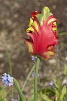 Cjp_2008_05_03_145613_2.jpg