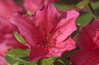 Cjp_2008_05_04_081413_2.jpg