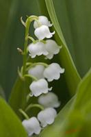 Cjp_2008_05_04_100019.jpg