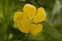 Cjp_2008_05_04_100325.jpg