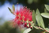 Cjp_2008_05_11_112119.jpg