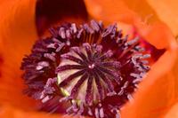 Cjp_2008_05_16_095008.jpg
