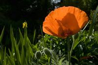 Cjp_2008_05_16_095549.jpg