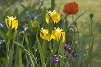 Cjp_2008_05_20_152159.jpg