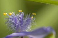 Cjp_2008_05_20_153019_2.jpg