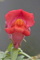 Cjp_2008_05_20_164644.jpg