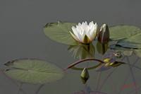Cjp_2008_06_11_083228.jpg