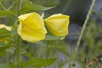 Cjp_2008_06_12_145249.jpg