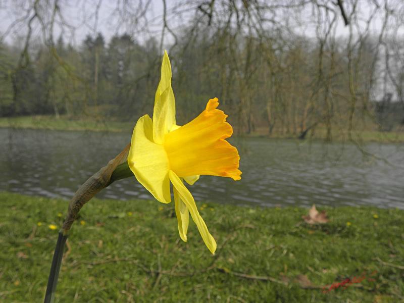 Cjp_2009_04_03_155303_R.jpg