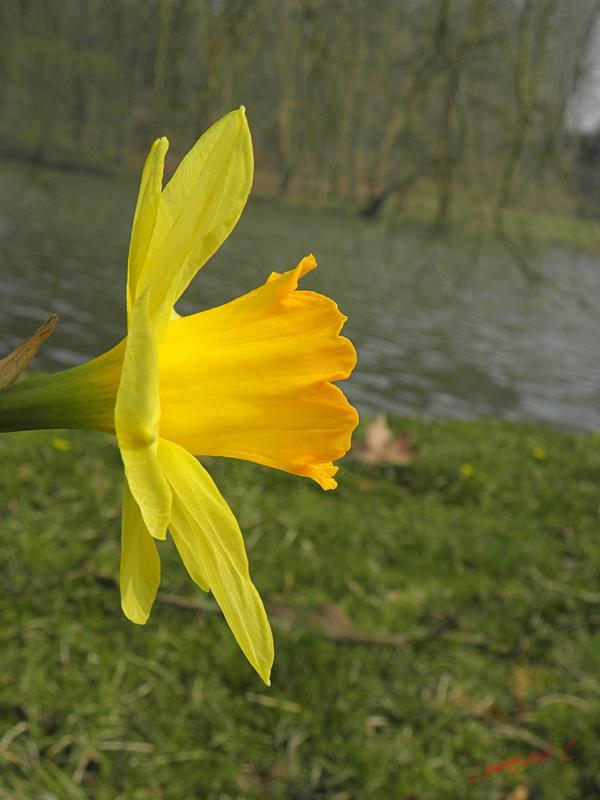 Cjp_2009_04_03_155349_R.jpg
