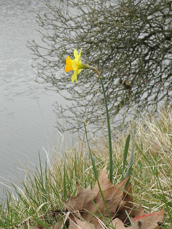 Cjp_2009_04_03_170011_R.jpg