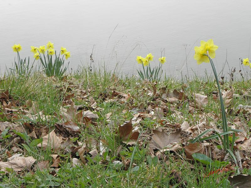 Cjp_2009_04_03_170235_R.jpg