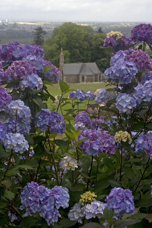 Cjp_2010_07_16_104353.jpg