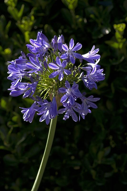 Cjp_2010_07_18_155601.jpg