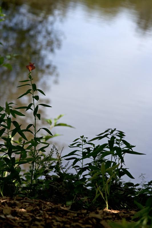 Cjp_2010_07_19_113017.jpg