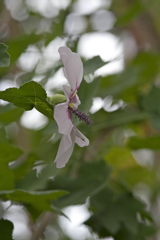 Cjp_2010_07_19_144359.jpg