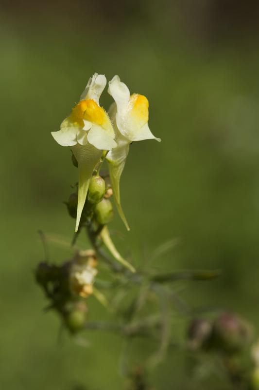 Cjp_2010_07_21_151423.jpg
