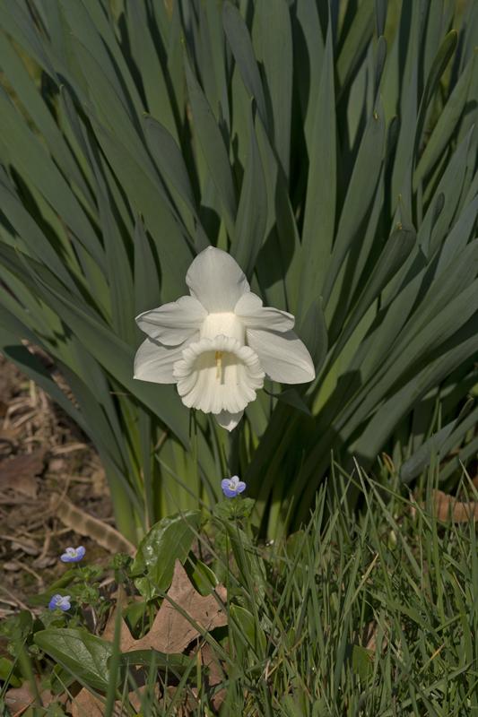 Cjp_2011_03_24_152343.jpg