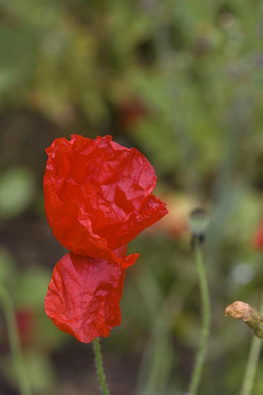 Cjp_2011_07_21_093127.jpg