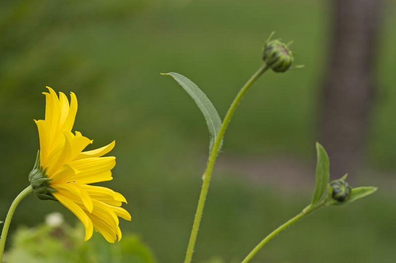Cjp_2011_09_10_123744.jpg
