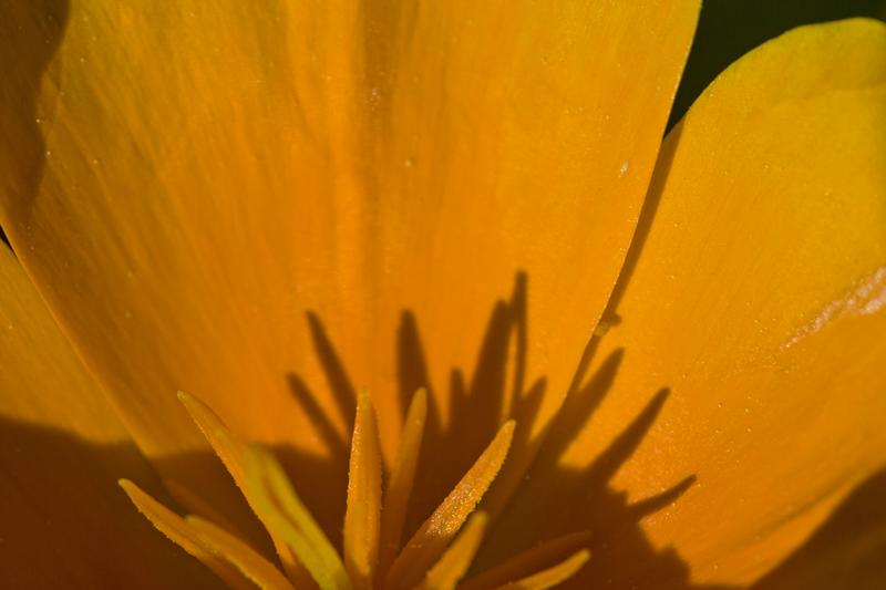 Cjp_2011_10_15_140930.jpg