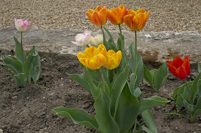 Cjp_2012_04_03_140714.jpg